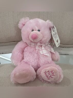 Baby Ganz My First Teddy Plush Stuffed Animal Pink Tags 9" inch NWT